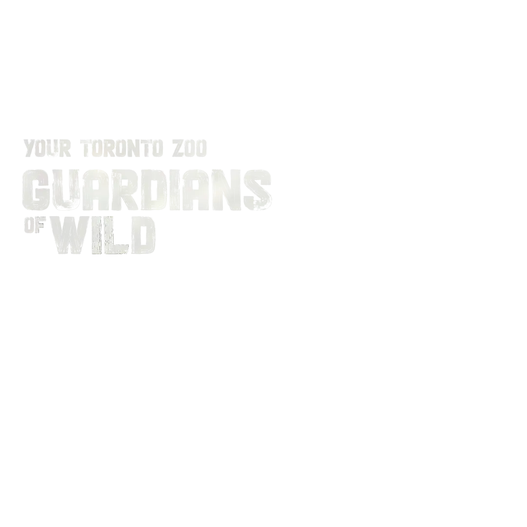 Your Toronto Zoo Guardians of Wild