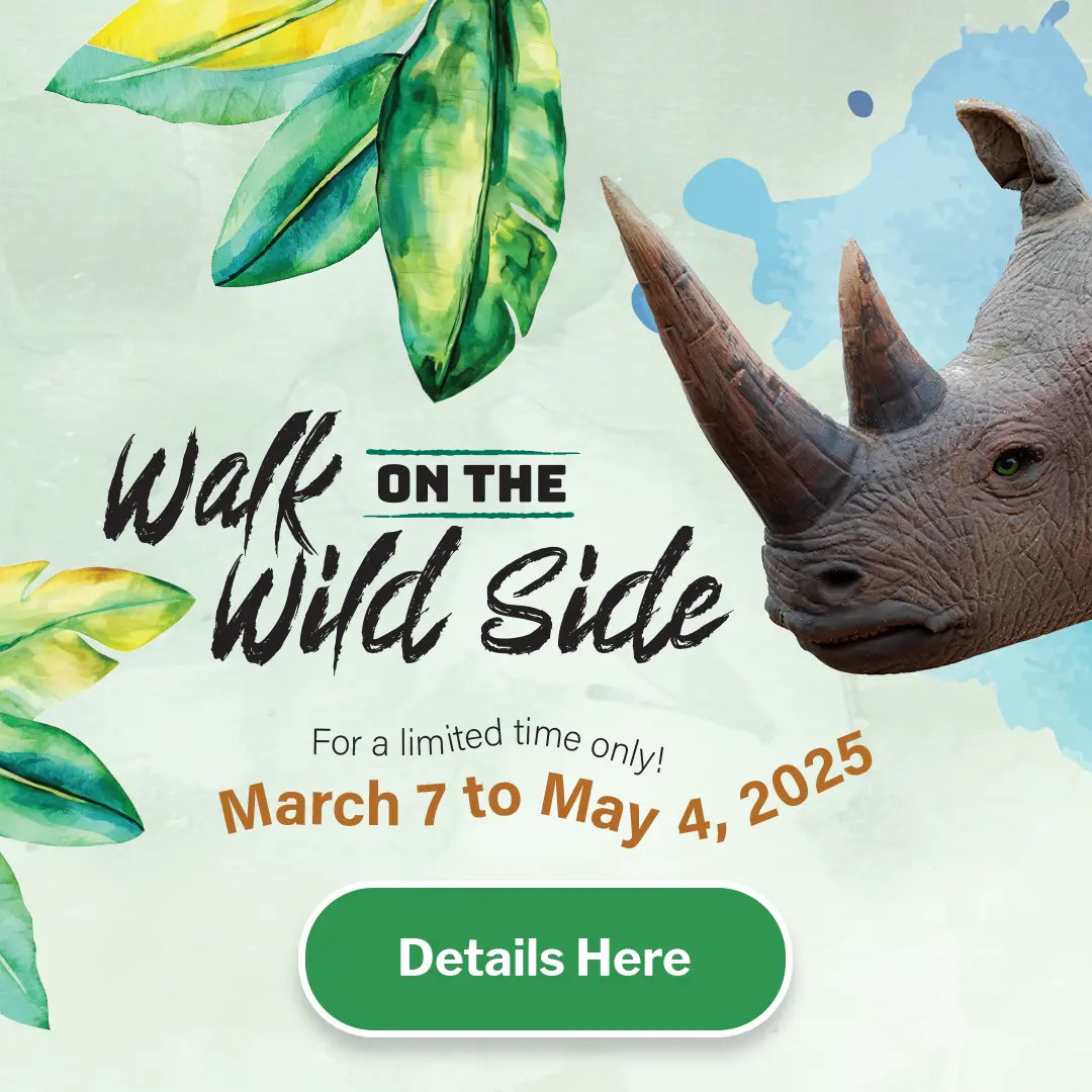 Walk on the Wild Side - For a Limited Time Only - March 7 to May 4 - Details Here